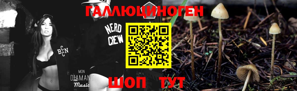 Галлюциногенные грибы MAGIC MUSHROOMS  Псилоцибиновые грибы прущие грибы  Вход с VPN  Сухой Лог 
